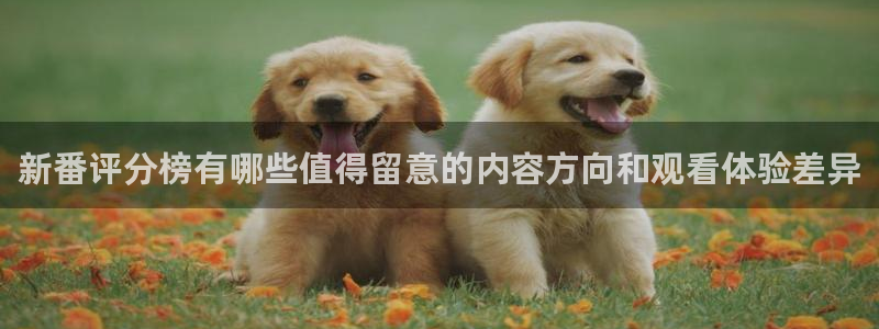 必看动漫推荐：新番评分榜有哪些值得留意的内容方向和观看体验差异