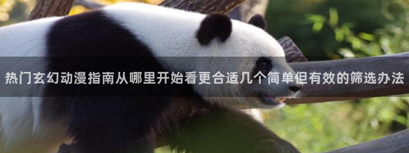 动漫角色大全：热门玄幻动漫指南从哪里开始看更合适几个简单但有效的筛选办法