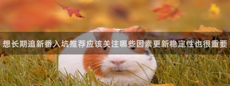 日本动漫大全:想长期追新番入坑推荐应该关注哪些因素更新稳定性也很重要