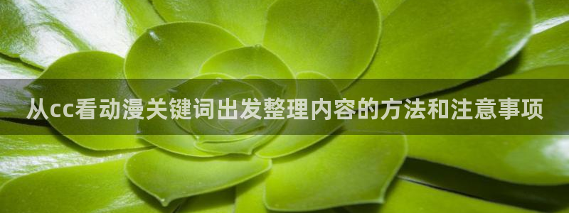 最新动漫网站:从cc看动漫关键词出发整理内容的方法和注意事项