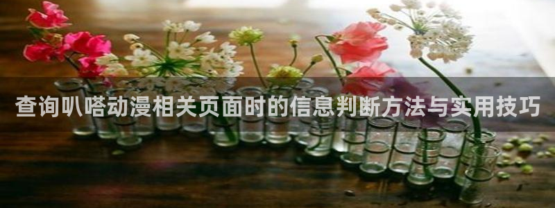 动漫网最新地址:查询叭嗒动漫相关页面时的信息判断方法与实用技巧