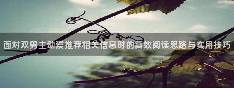 动漫网页版:面对双男主动漫推荐相关信息时的高效阅读思路与实用技巧