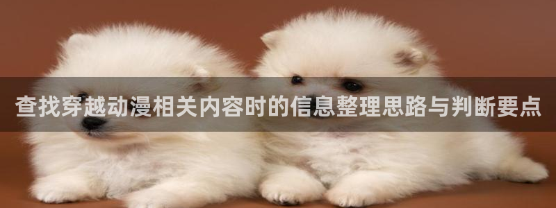 动作动漫推荐:查找穿越动漫相关内容时的信息整理思路与判断要点