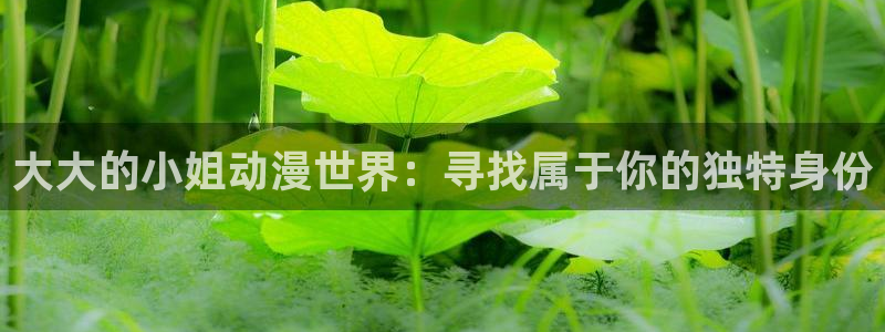 新番动画大全:大大的小姐动漫世界:寻找属于你的独特身份
