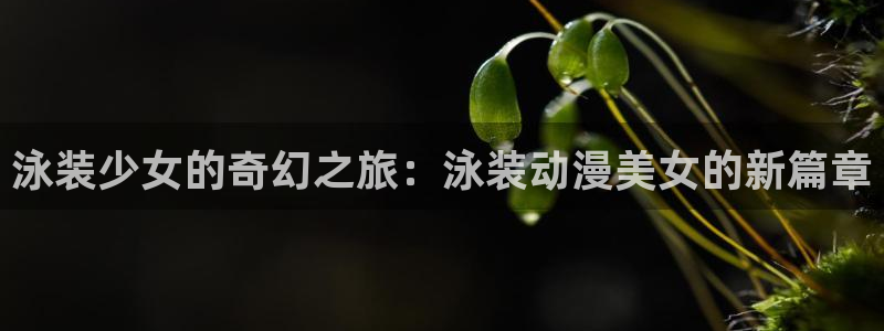动漫在线入口:泳装少女的奇幻之旅:泳装动漫美女的新篇章