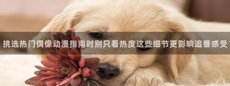 动漫类型大全：挑选热门偶像动漫指南时别只看热度这些细节更影响追番感受