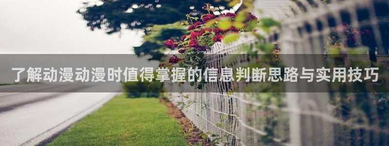 搞笑动漫推荐：了解动漫动漫时值得掌握的信息判断思路与实用技巧